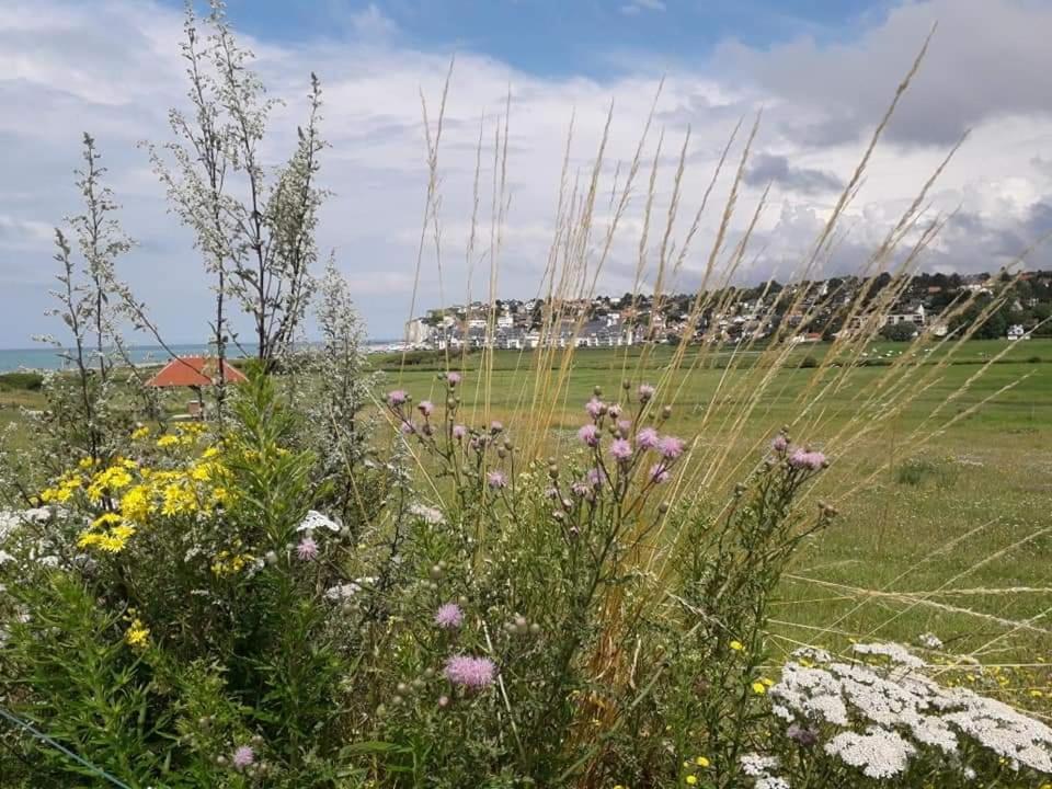 Maison Entiere La Longe'Yeres Saint-Martin-le-Gaillard 外观 照片